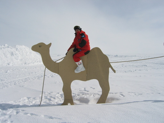 [20041219_0004_Camel.jpg]
Come to Concordia park ! Ride the Camels !