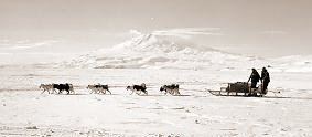 [ANT15.jpg]
McMinn and Freddie Soo going out to meet the plane on the ice to pick up mail in summer. In the 60's the dogs were usually just running loose about the camp. Some people kept them as pets while the people at Scott Base still worked theirs. To get food they would shoot seals, let them freeze, then chop them up and feed the dogs the frozen seal !