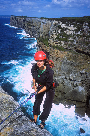 [ThunderbirdWallRappelToSea.jpg]
Rappelling down Thunderbird wall.