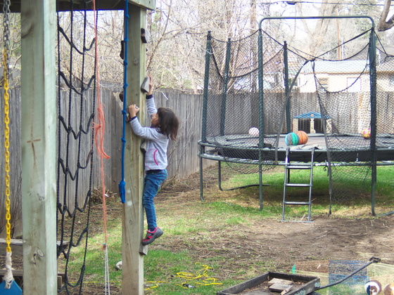 [20190414_180732_FortCollins.jpg]
So it seems there stuff to climb everywhere in CO: in the mountains, but also in friends' backyards.