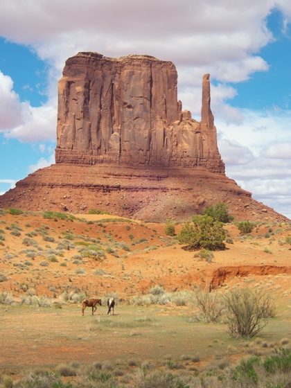 [20190423_144333_MonumentValley.jpg]
Horses grazing in Monument Valley.