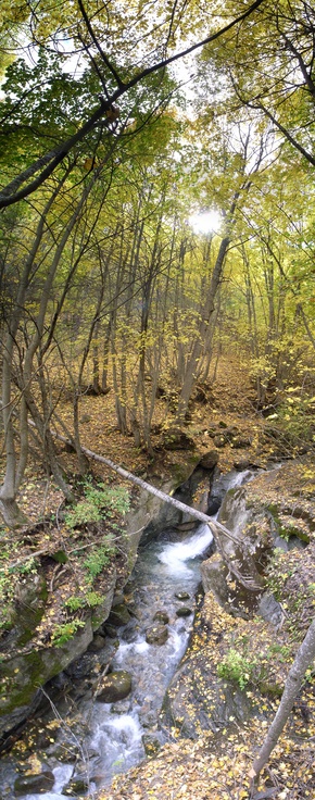 [20061014-AutumnRiverVPano_.jpg]
Small river next to the parking lot. OK, the composite image is far from perfect, but you get the idea.