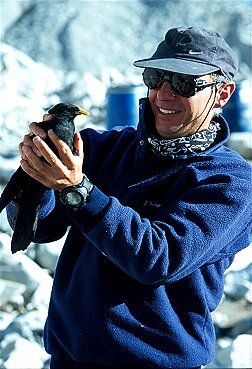 [Chouca.jpg]
When you are bored at base camp, what do you do ? You design a device to capture poor defenseless animals and you play with them before releasing them (and before they get pissed off and bite you).