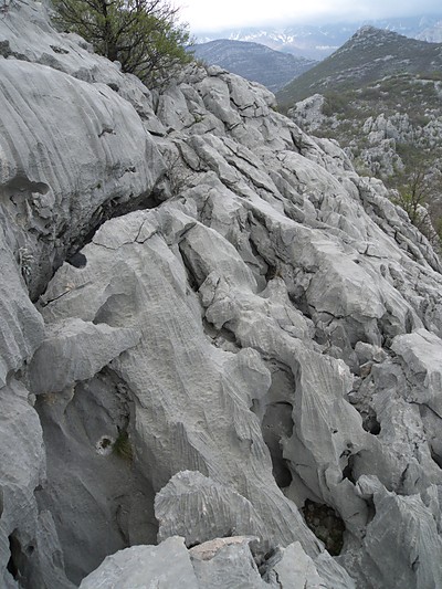 [20100418_161847_AnicaKuk.jpg]
Incredibly carved limestone on the descent from Anica Kuk.