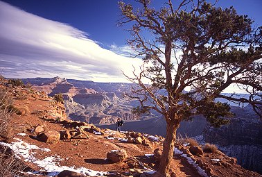 [GrandCanyonTree.jpg]
A tree on the south Kaibab trail.