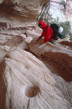 [GrindingMarks.jpg]
Various grinding marks on the rock: for grinding cereals, sharpening arrowheads, crushing corn and more.