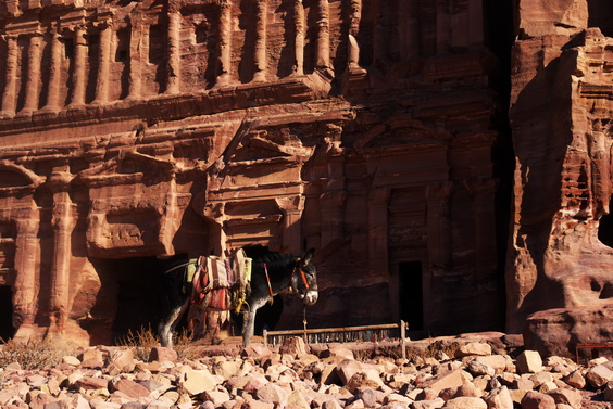 [20111108_143836_Petra.jpg]
Donkey and temple.