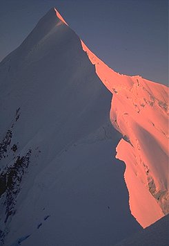 [MtTasman.jpg]
Mt Tasman as seen from Silberhorn.