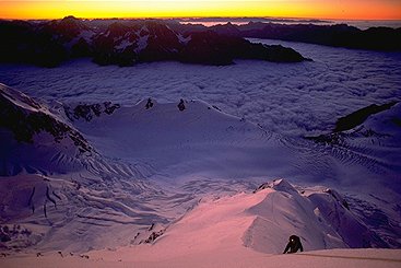 [SilberhornUp.jpg]
Craig Jenkins going up on Silberhorn, a minor summit on the ridge of Mt Tasman, but a nice ice climb and much safer than the serac-laden Tasman Direct anyway (the traverse underneath Tasman is called the Death Mile or something like that...). On this route there is some 70° ice, but it's not very sustained. The normal route of Tasman is on the other side and I climbed it with Jenny 6 years later.