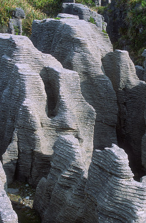 [PunakaikiPancakeRocks2.jpg]
Pancake rocks at Punakaiki.