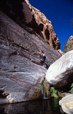 [DarkShadows.jpg]
The spring at the base of Dark Shadows, Pine Creek Canyon