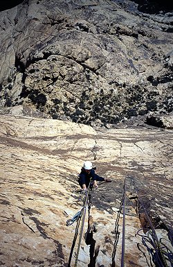 [LevitationJenny.jpg]
Jenny on one of the higher pitches (5th ?) of Levitation 29.