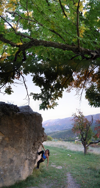 [20061026-BoulderTreeJennyVPano_.jpg]
Bouldering in the evening at Orpierre. Unfortunately a house has now been built at this very spot.