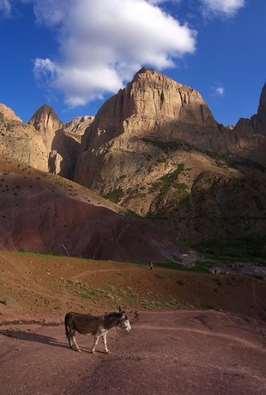 [20120503_194040_DonkeyVPano_.jpg]
Donkey below Taoujdad and Oujdad.