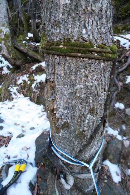 [20120222_102639_CascadeChampignonsAgo.jpg]
The not so recent belay of the 1st pitch.