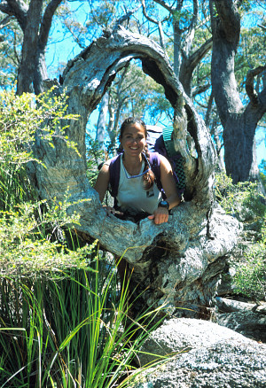 [TreeHole.jpg]
A hole in a dead tree on the trail of the Freycinet Peninsula.