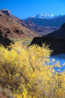 [Autumn_Colorado_Fisher_LaSal.jpg]
Autumn above the Colorado river, with the Fisher towers and the LaSal mountains in the background.