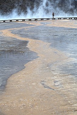 [PrismaticWater.jpg]
Water running down the Grand Prismatic.