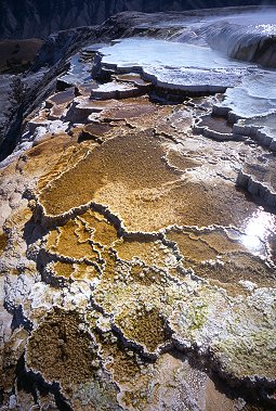 [Spring.jpg]
Spring in Yellowstone.