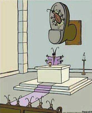 [BugReligion.jpg]
Bug religion