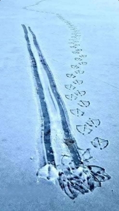 [LandingWalkAway.jpg]
Any landing you can walk away from...