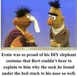 [NoseSock.jpg]
Nose sock