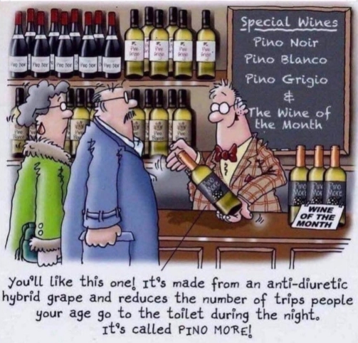 [PinoMore.jpg]
Pino more wine