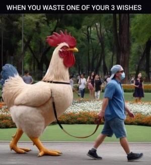 [WastedWish.jpg]
Wasted wish