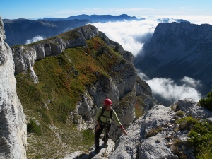 Upper reaches of Mt Aiguille