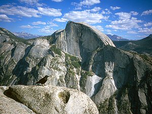 Crow on the summit of North Dome, facing Half Dome