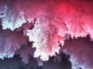 Large and very fragile ice crystal (30cm) hanging from the garage ceiling