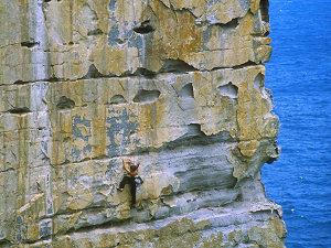 Thunderbird Wall, Point Perpendicular