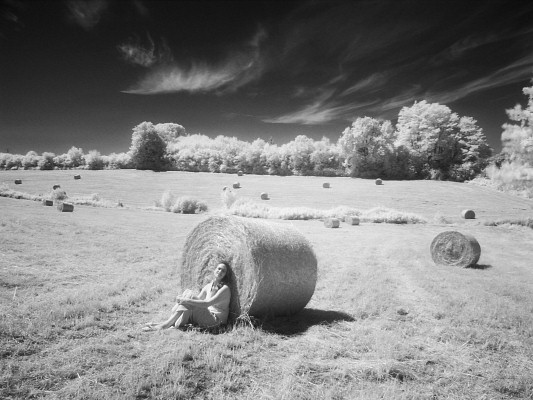 [20080622_111651_Infrared.jpg]
Infrared haystacks and rest (digesting ?) model.