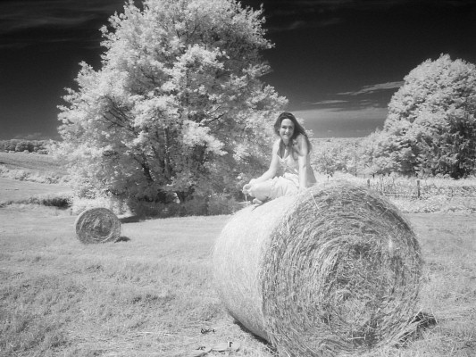 [20080622_112721_Infrared.jpg]
The tree is glowing but Chernobyl has hardly anything to do with it.